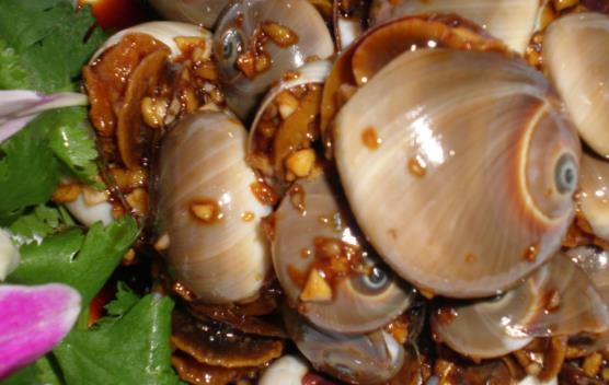 脯乳期可以吃香螺嗎?香螺有哪些功效?