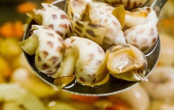 孕婦可以吃花螺嗎?新鮮的花螺可以冷凍嗎?