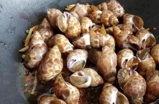 急性腎炎可以吃花螺嗎?冰鎮花螺是生的嗎?