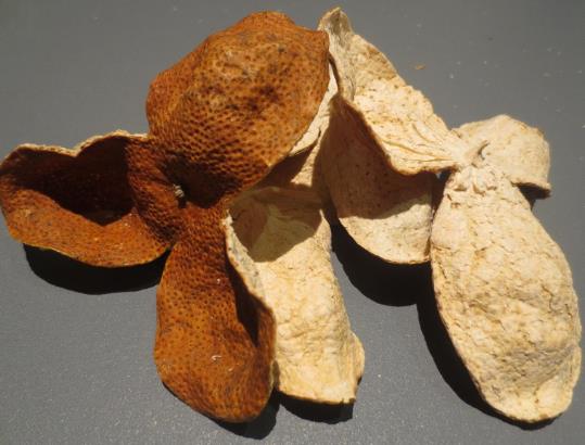 5年以上的陳皮多少錢一斤?女性長期喝陳皮水有什么好處?