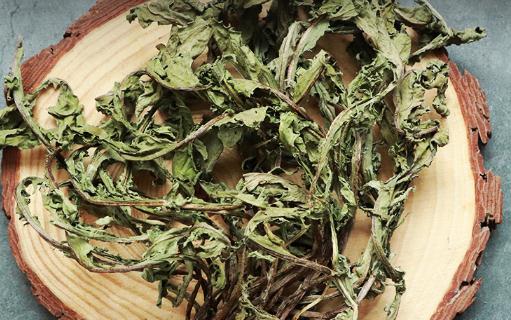 蒲公英茶去火還是金銀花去火 什么人不適合喝蒲公英茶