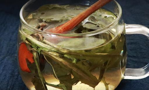 蒲公英茶多久喝一次比較好 蒲公英茶冷了是不是不能喝了