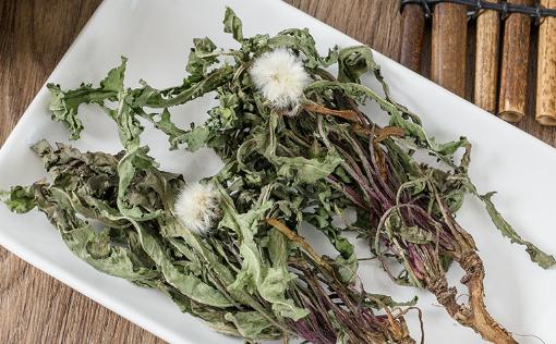 蒲公英茶多久喝一次比較好 蒲公英茶冷了是不是不能喝了