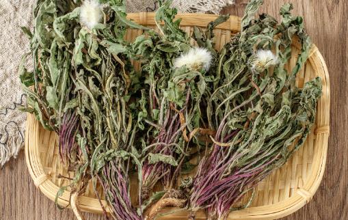 蒲公英茶多久喝一次比較好 蒲公英茶冷了是不是不能喝了