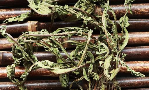 蒲公英茶去火還是金銀花去火 什么人不適合喝蒲公英茶