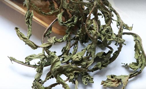 蒲公英茶去火還是金銀花去火 什么人不適合喝蒲公英茶