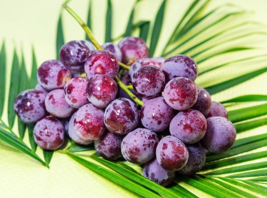 提子可以在水里泡一夜嗎?常溫下提子封閉好還是開(kāi)口好