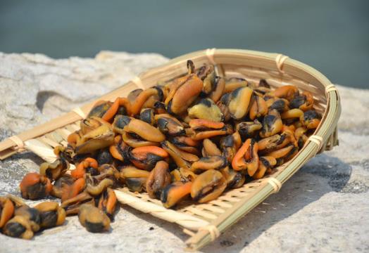 淡菜干是下奶的還是回奶的?淡菜干為什么容易碎