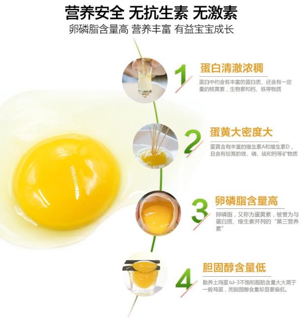 安全、高效補充營養 DHA雞蛋老少皆宜吸收率高食療好選擇