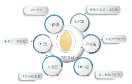安全、高效補充營養 DHA雞蛋老少皆宜吸收率高食療好選擇