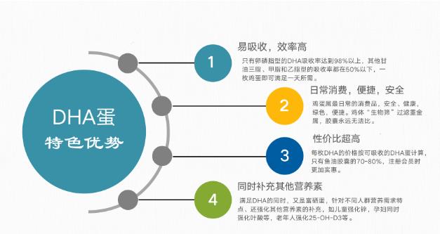 安全、高效補充營養 DHA雞蛋老少皆宜吸收率高食療好選擇