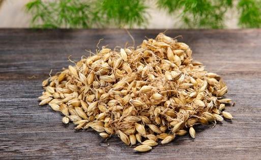 回奶是用熟麥芽還是生 生麥芽泡水喝可以回奶嗎