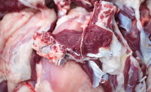 羊肉補腎陰虛還是腎陽虛 羊肉和什么搭配最補腎