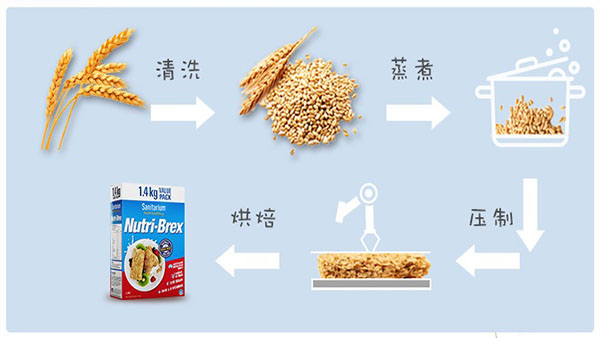 欣善怡Nutri-Brex全谷麥片:百年品牌產品,口碑值得信賴 undefined