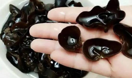 木耳可以治便秘嗎?木耳發白正常嗎?