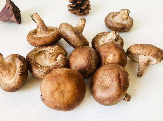 香菇是晾干的還是曬干的?香菇黑了沒發霉還能吃嗎