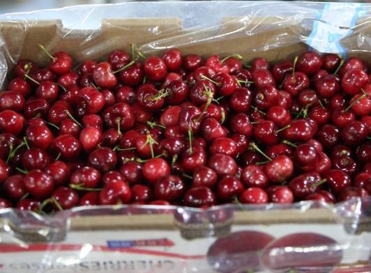 光滑的車(chē)?yán)遄雍貌缓茫寇?chē)?yán)遄颖砻鏋槭裁疵八? border=