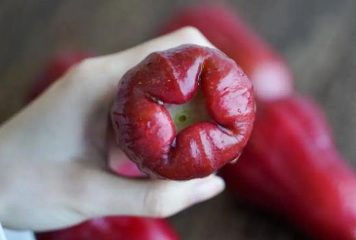 蓮霧有點(diǎn)澀是怎么回事?蓮霧里面像棉花能吃嗎