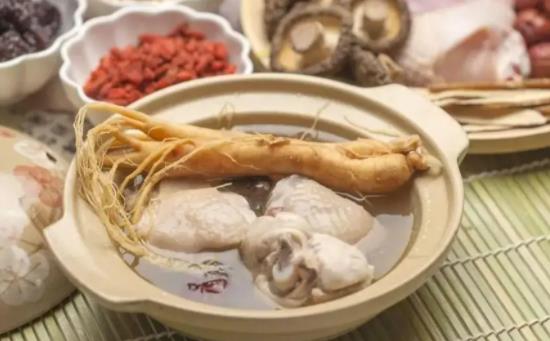 鴿子湯怎么燉營養(yǎng)才好?鴿子用什么煲湯最好?