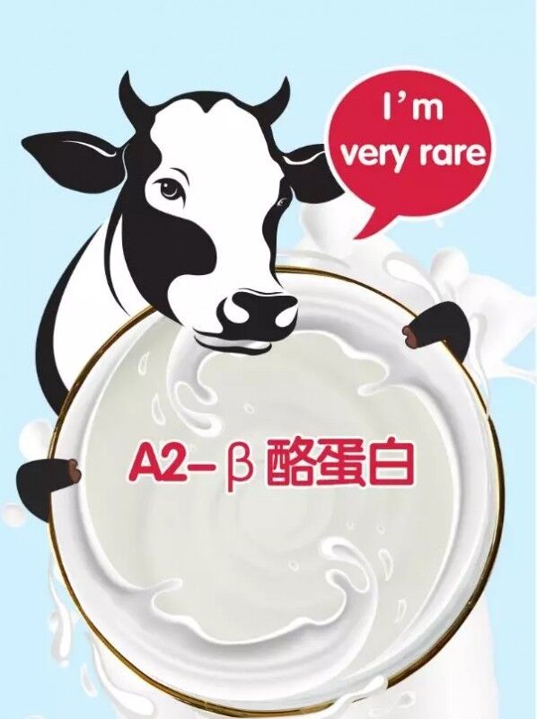 感恩節送營養 澳牧牛奶適合全家人