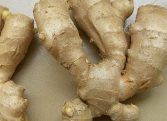 喝茶就能改善皮膚 辛夷花茶對養膚有好處