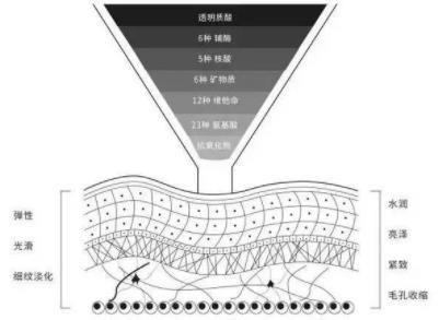 菲洛嘉價格貴不貴?北京伊美爾紫竹幫你恢復水潤美白