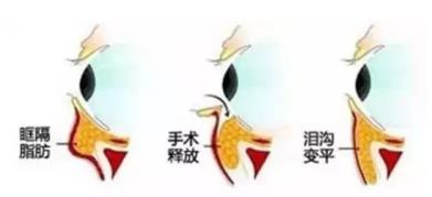 360截圖20190323100450742.jpg