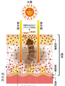 北京伊美爾健翔醫院:玻尿酸除皺的價格