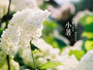 小暑什么意思？小暑怎么預防中暑