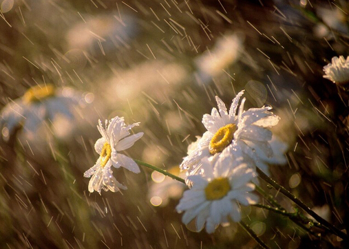 梅雨季節是什么時候?梅雨季節吃什么