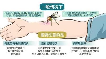 被毒蚊子咬了怎么辦?蚊子咬了怎么消腫止癢