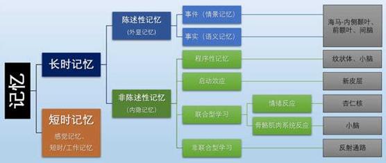 為什么你不記得嬰幼兒時期發生的事?記憶會一直保留到我們離開人世嗎