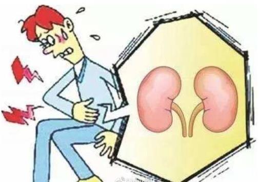 【杉寶解讀】NAD +的從頭合成途徑受損會導致急性腎損傷