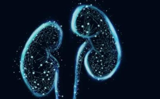 膽管癌的病因有哪些?患膽管癌有哪些并發癥?