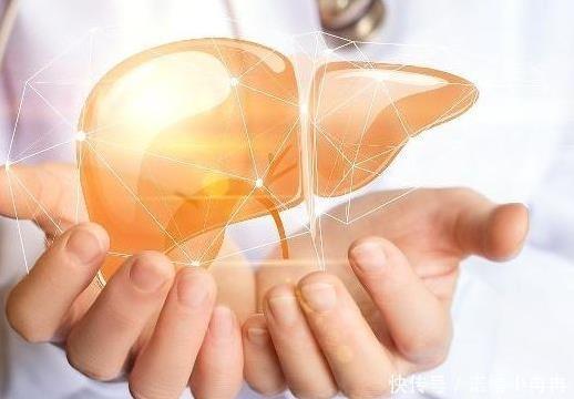 肝臟不好的人會引起這些身體問題,NMN護肝有作用嗎?