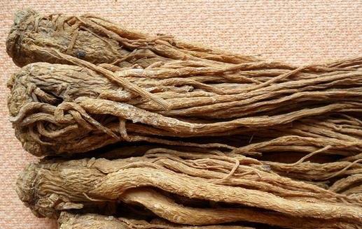 當歸適用于哪些人?當歸的功效有哪些?