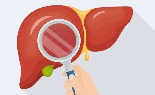 引起肝腹水的疾病有哪些?怎么治療肝腹水?