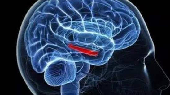 腦血栓的早期癥狀是什么?腦血栓會引起哪些并發癥?