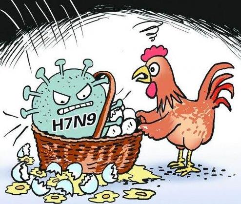 如何做好禽流感預防工作?禽流感的癥狀是什么