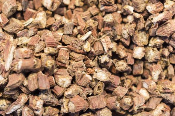 水飛薊的功效用好,搭配按摩三大穴位,養(yǎng)肝效果好