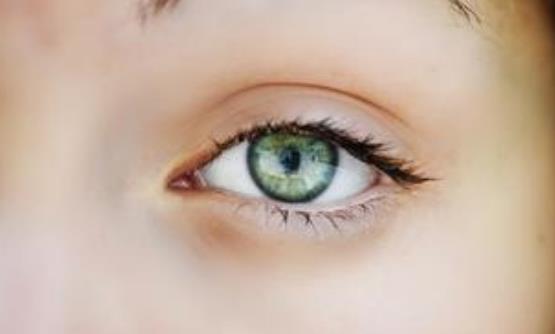 什么是泡性眼炎?泡性眼炎的疾病分類有哪些?