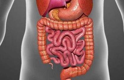 腸梗阻是怎么引起的?腸梗阻的癥狀是什么