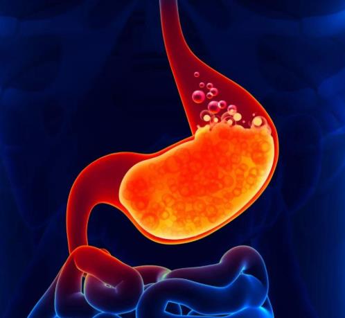 大腸濕熱的癥狀是什么?大腸濕熱如何調理