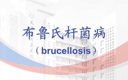 布氏桿菌病可以治愈嗎?如何預防布氏桿菌病