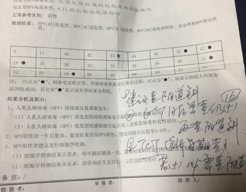 3個(gè)高危1個(gè)低危HPV感染,轉(zhuǎn)陰經(jīng)歷分享給大家