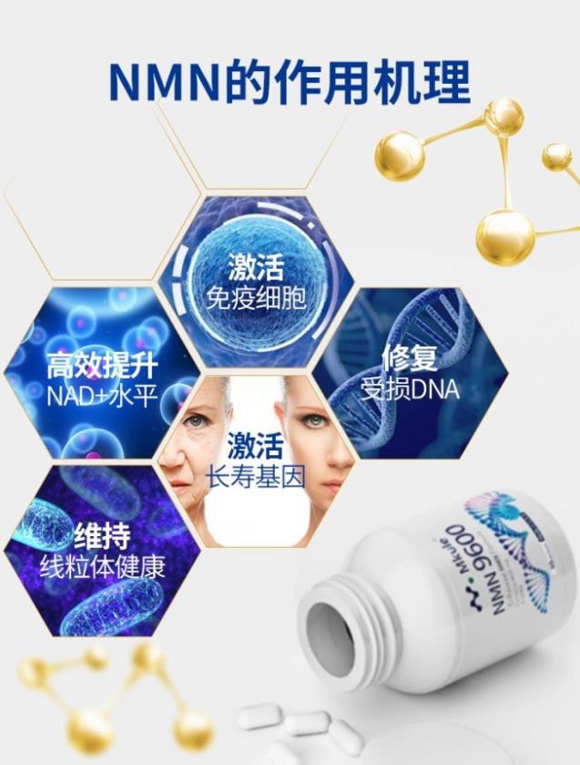 Mkule(邁肯瑞爾)助力健康產業發展,支持NMN產業生態