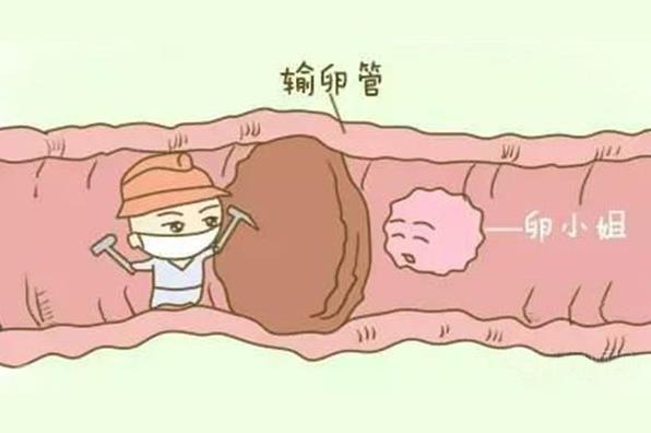 西安治療輸卵管堵塞哪家醫(yī)院好?西安生殖保健院