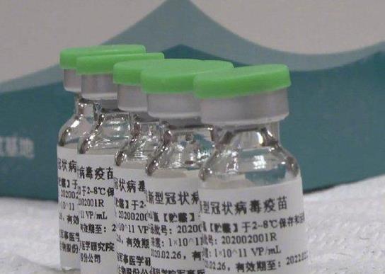 打新冠疫苗需要空腹打嗎?新冠疫苗vero細(xì)胞和cho細(xì)胞打哪種好
