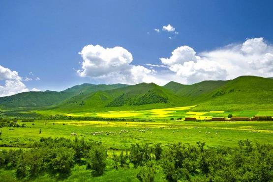 男性在高原待久了會(huì)影響生育嗎?高原反應(yīng)的情況下能平躺著睡嗎?