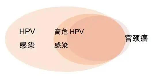 HPV潛伏期長陰難 新科技新臺階康復之路迎曙光